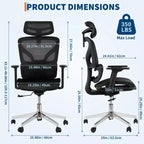 Sedia da Ufficio Ergonomica in Rete Nera, Braccioli 4D, Supporto Lombare, Seduta Singola