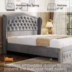 Letto a piattaforma Queen con testiera ad ali in velluto beige/dorato/grigio con 2 cassetti portaoggetti, 1 persona